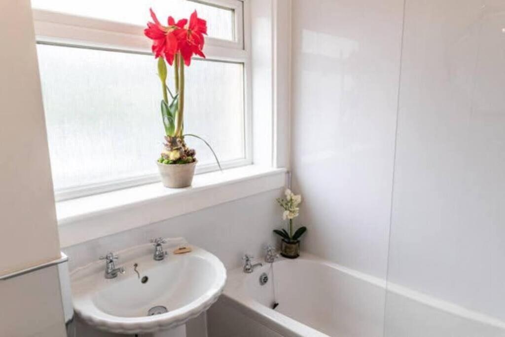 Cosy 1 Bed With Parking In City Centre Apartment Glasgow Exterior foto